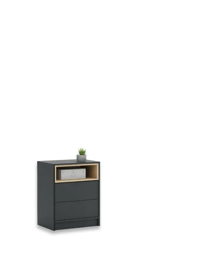 Комод 60-2-45 Loft